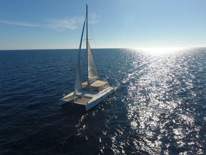 Ocean Dream unter Segel